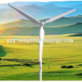 Qingdao Hengfeng supply 30kw wind turbine prices